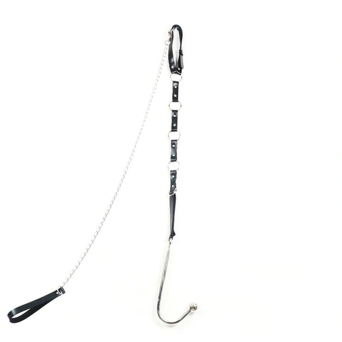 Anal Hooks and Anal Kinky EverydayUse Collar 5853 with Hook Leash 0204